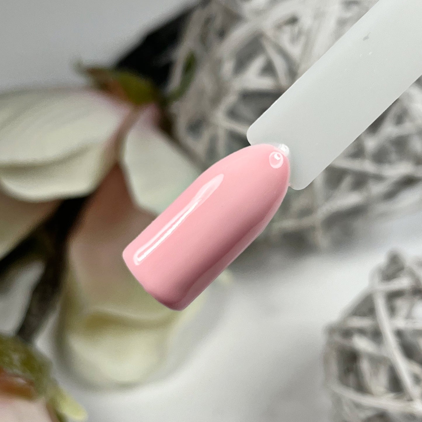 Blush & Burnt Farbgel Set Herbst 2024