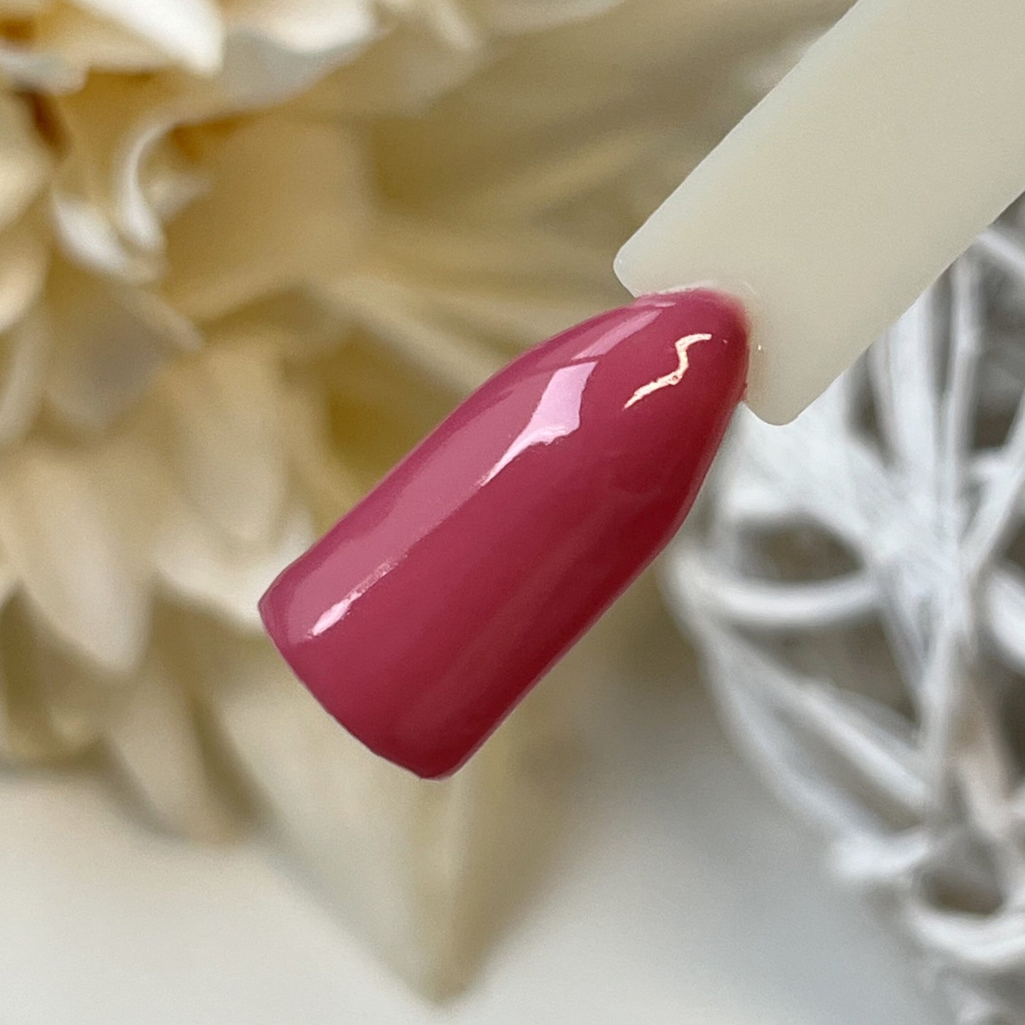 Pumpkin Farbgel Kollektion Herbst 2024 Pumpkin Farbgel Set Farbgel Night Light Farbgel Light Pink Farbgel Pumpkin Farbgel Geranium Farbgel Plum Purple Farbgel Nude Mud