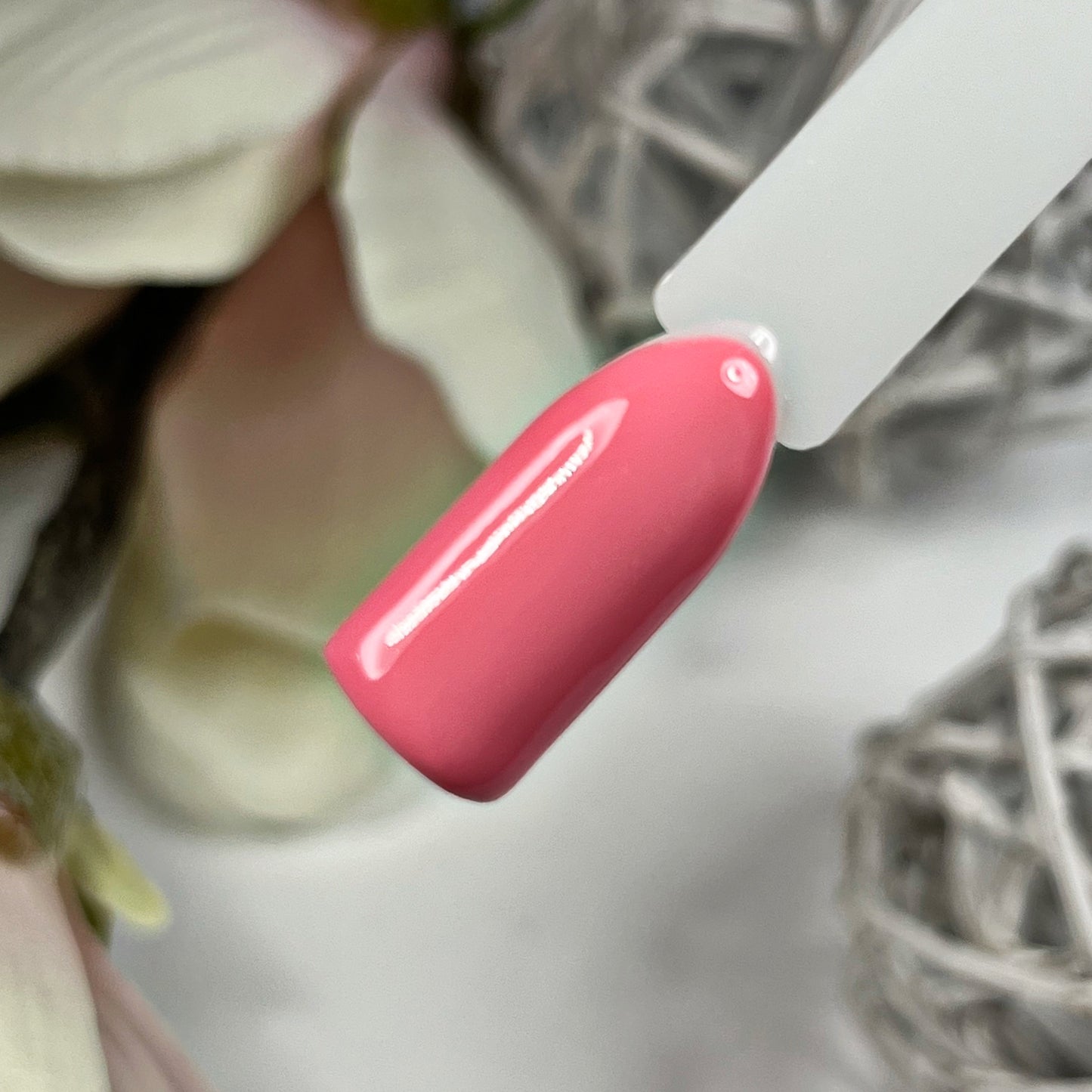 Blush & Burnt Farbgel Set Herbst 2024