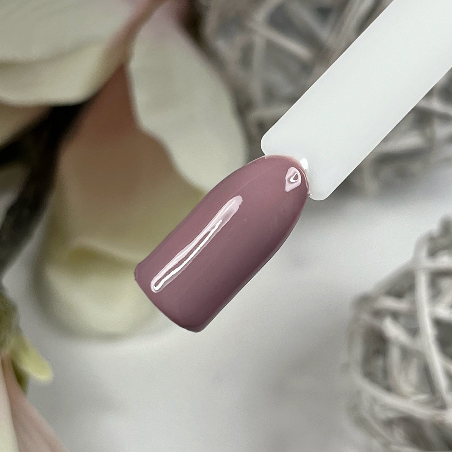 Blush & Burnt Farbgel Set Herbst 2024