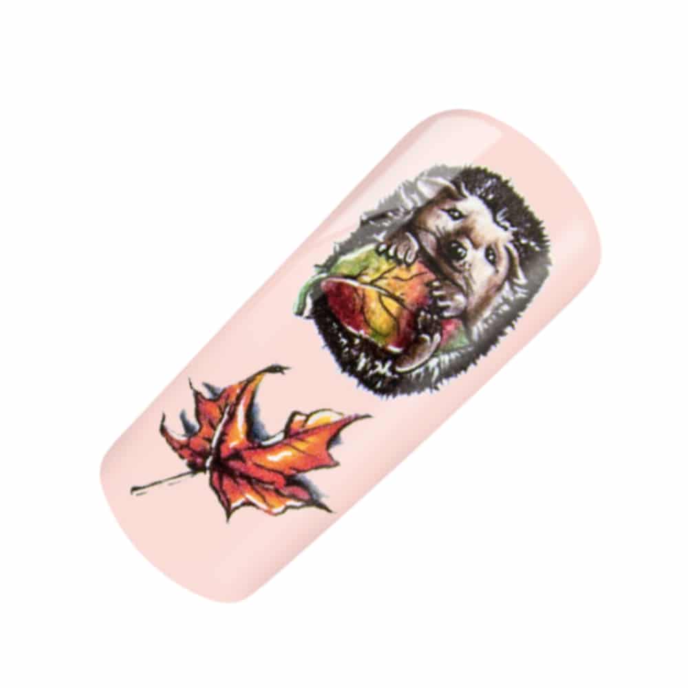 Nailart Tattoo Igel Herbst I