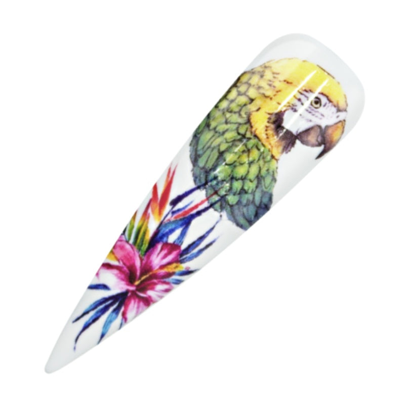 Nailart Tattoo Tropical II