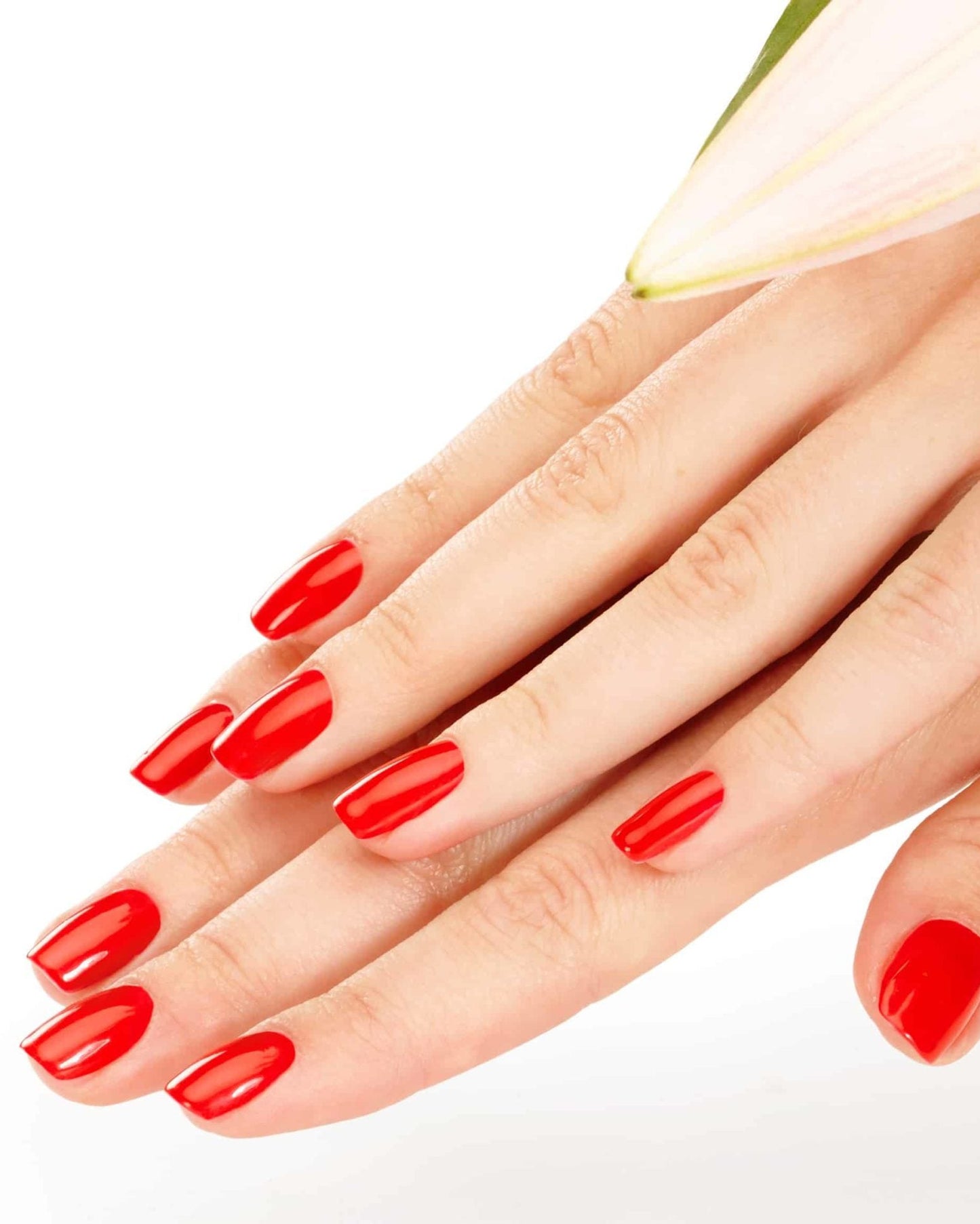 Nageldesign Ausbildung Grundseminar