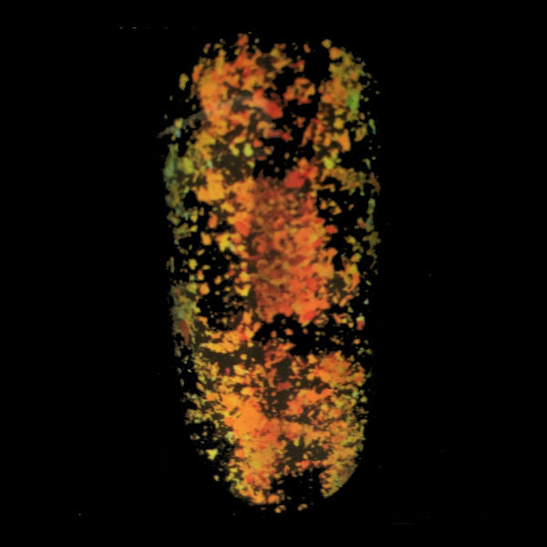 Chamäleon Powder Spaced Up Sahara Nr. 1