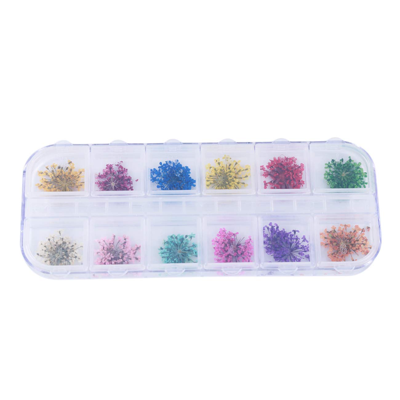 12er Set Trockenblumen