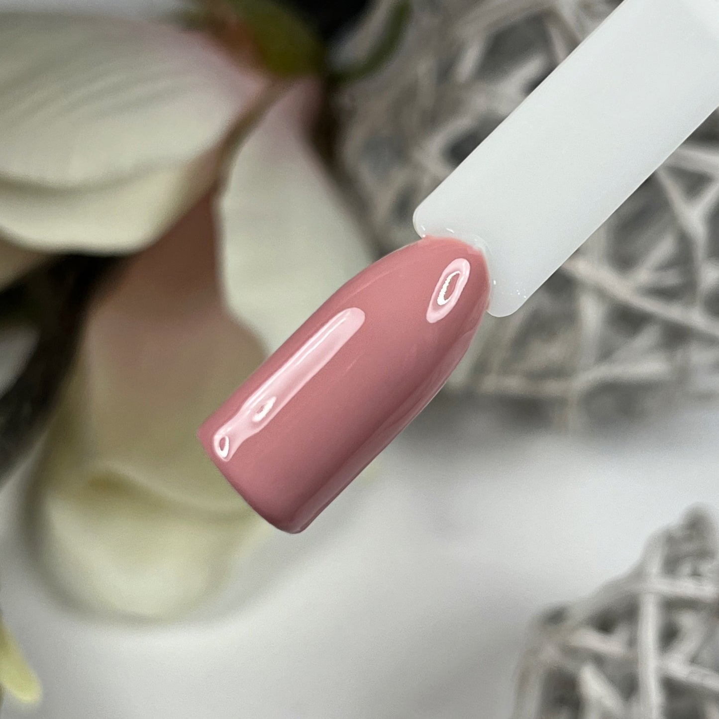 Blush & Burnt Farbgel Set Herbst 2024