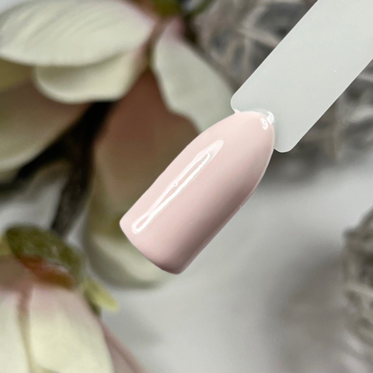 Blush & Burnt Farbgel Set Herbst 2024