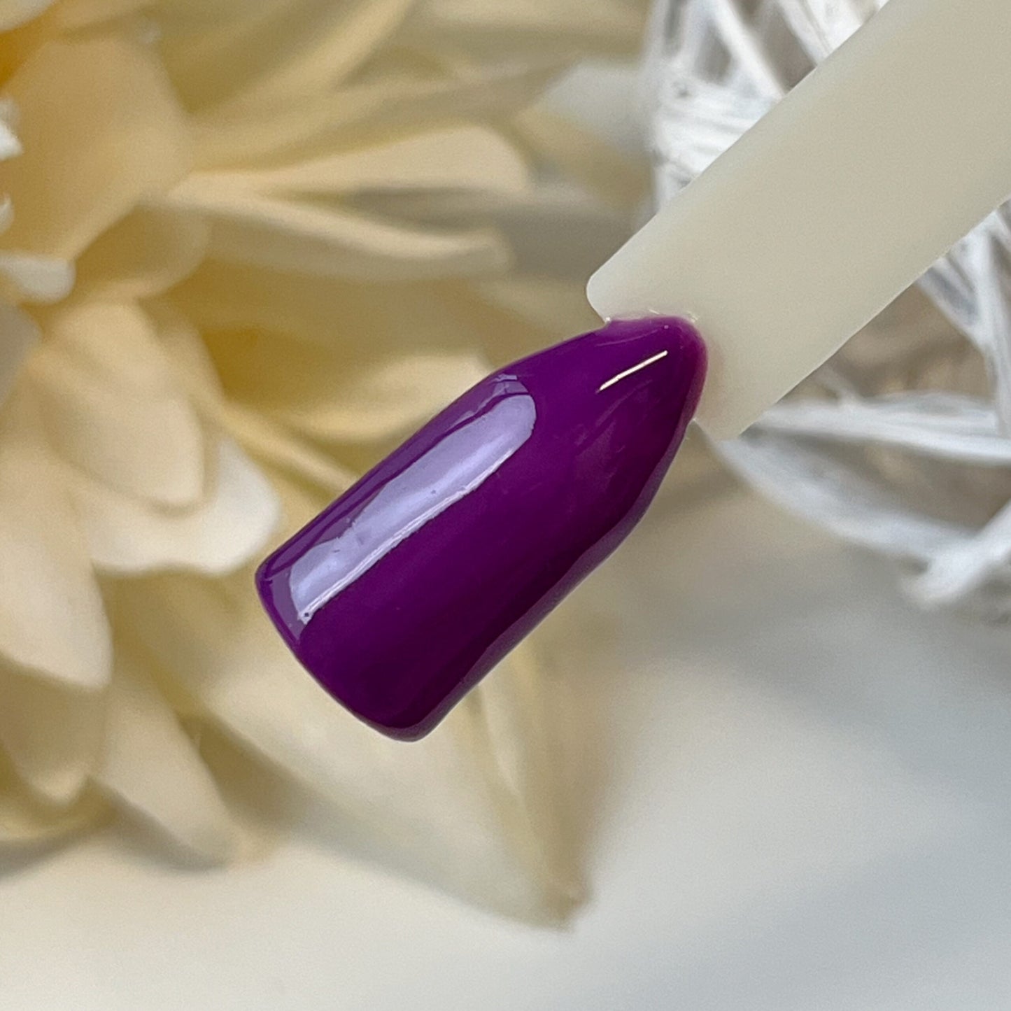 Pumpkin Farbgel Kollektion Herbst 2024