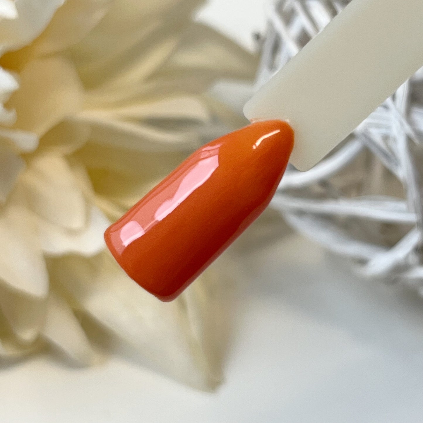 Pumpkin Farbgel Kollektion Herbst 2024