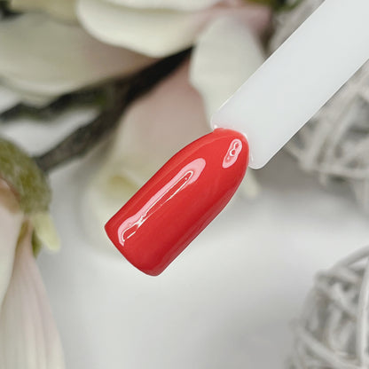 Blush & Burnt Farbgel Set Herbst 2024