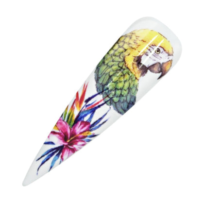 Nailart Tattoo Tropical II