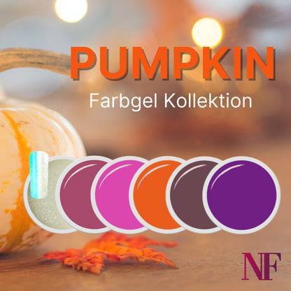 Pumpkin Farbgel Kollektion Herbst 2024