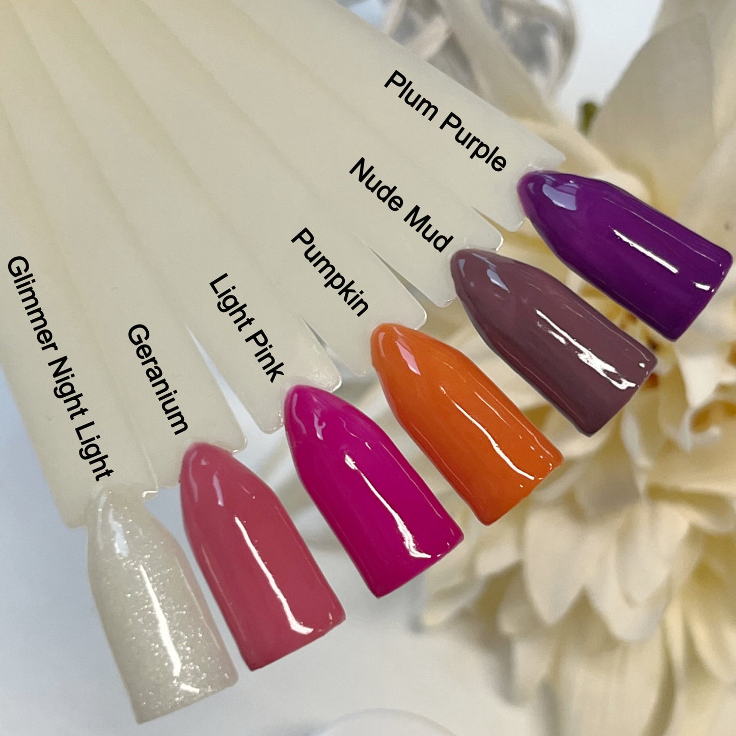 Pumpkin Farbgel Kollektion Herbst 2024