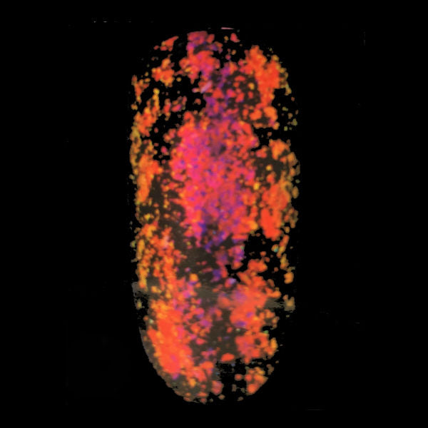 Chamäleon Powder Mars Is Burning Nr. 3