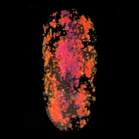 Chamäleon Powder Mars Is Burning Nr. 3