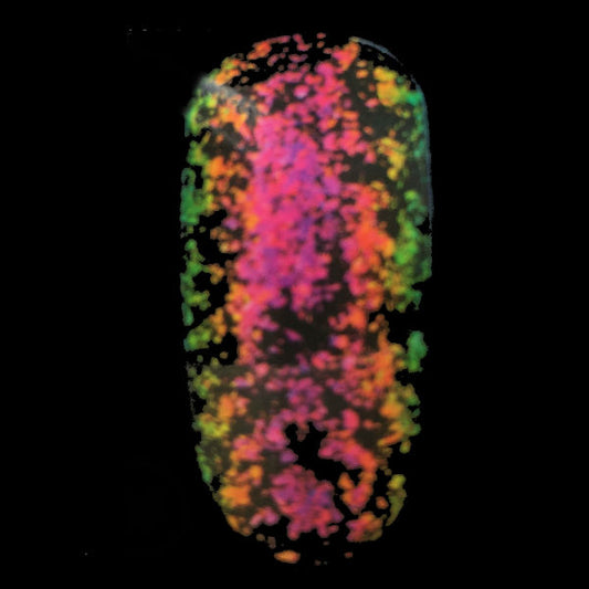 Chamäleon Powder The Dragon Nr. 8